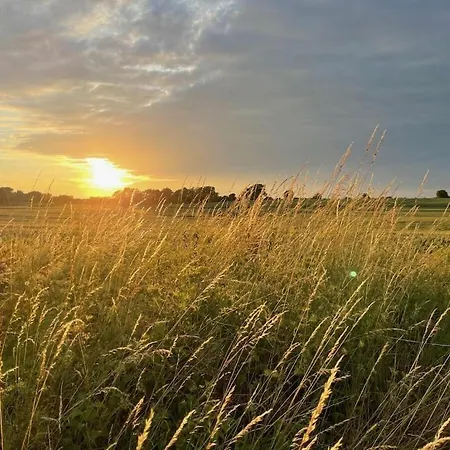 Treehouse Weissenhaeuser