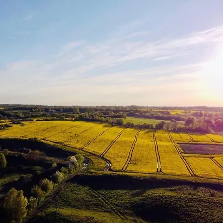 Treehouse Weissenhaeuser Wangels