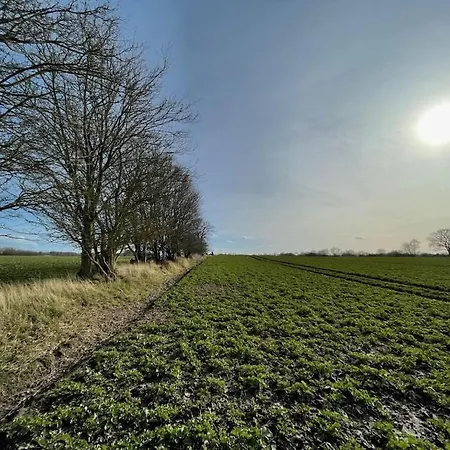 Treehouse Weissenhaeuser Vakantiehuis *