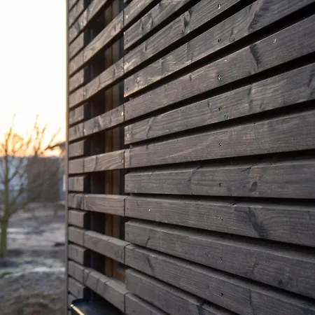 Treehouse Weissenhaeuser Ferienhaus Wangels