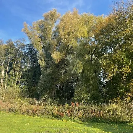 Treehouse Weissenhaeuser
