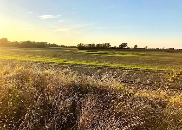 Vakantiehuis Treehouse Weissenhaeuser *