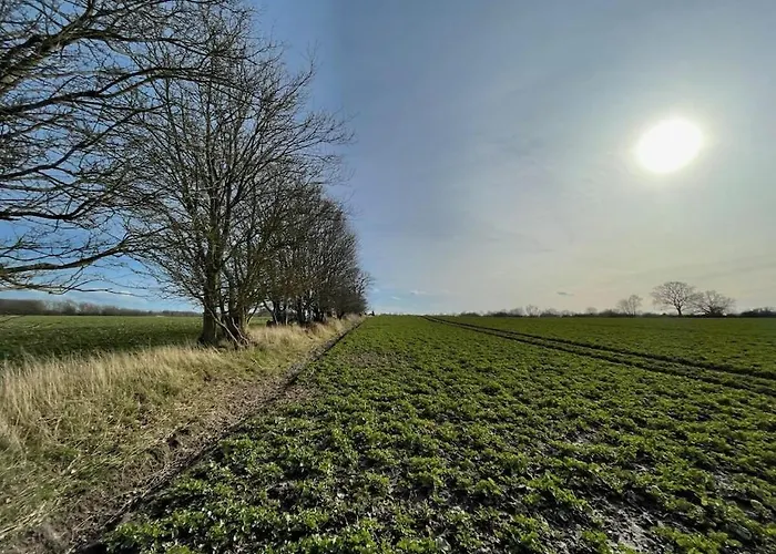 Treehouse Weissenhaeuser Vakantiehuis *