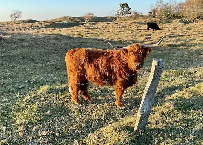 Treehouse Weissenhaeuser Vakantiehuis